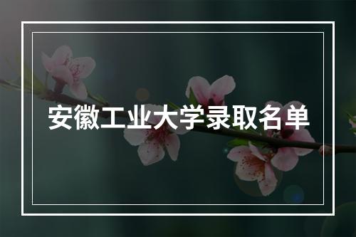 安徽工业大学录取名单