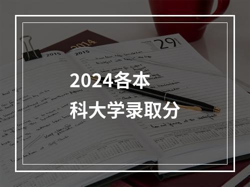 2024各本科大学录取分