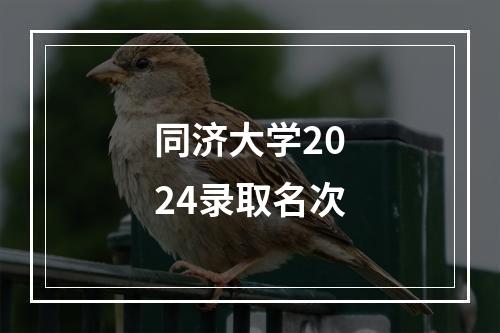 同济大学2024录取名次