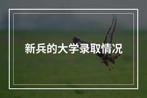 新兵的大学录取情况