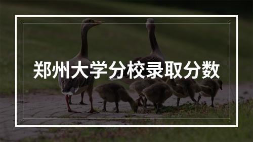 郑州大学分校录取分数