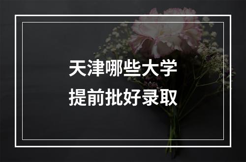 天津哪些大学提前批好录取