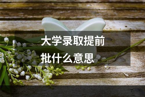 大学录取提前批什么意思