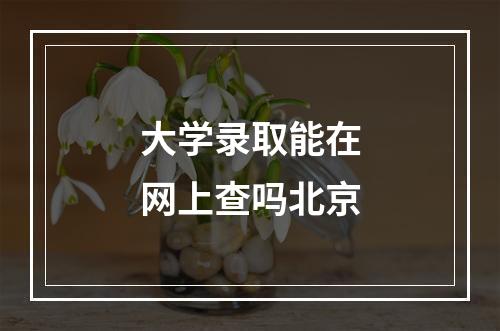 大学录取能在网上查吗北京