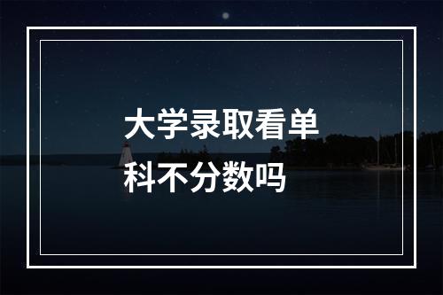 大学录取看单科不分数吗