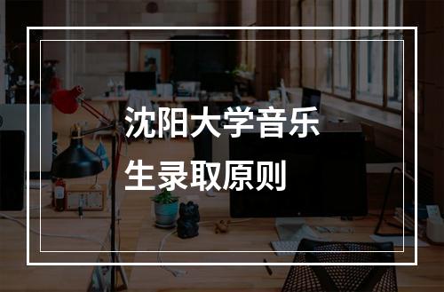 沈阳大学音乐生录取原则