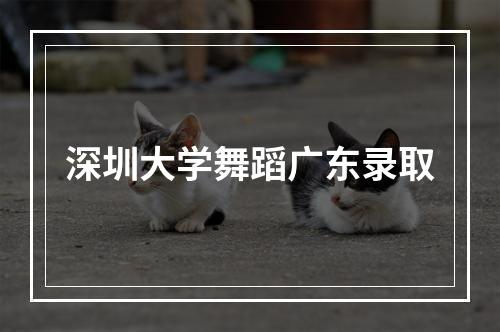 深圳大学舞蹈广东录取