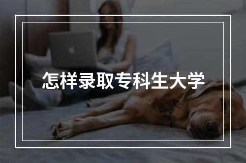 怎样录取专科生大学