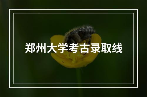 郑州大学考古录取线