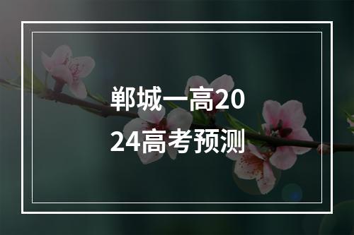 郸城一高2024高考预测