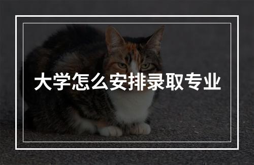 大学怎么安排录取专业