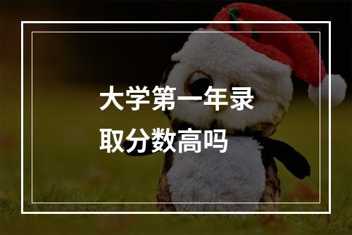 大学第一年录取分数高吗