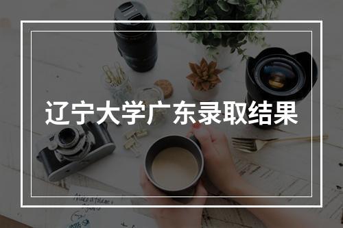 辽宁大学广东录取结果