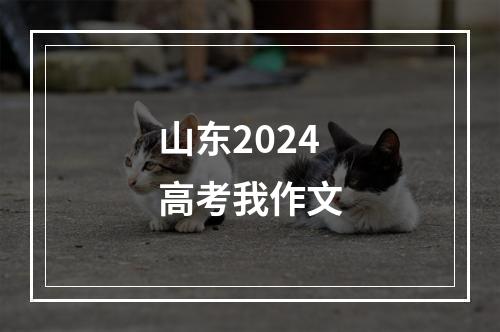 山东2024高考我作文