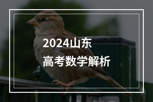 2024山东高考数学解析