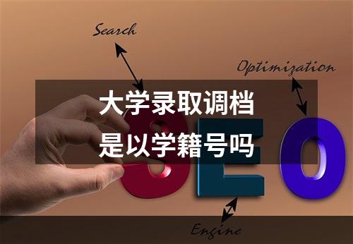 大学录取调档是以学籍号吗