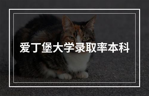 爱丁堡大学录取率本科