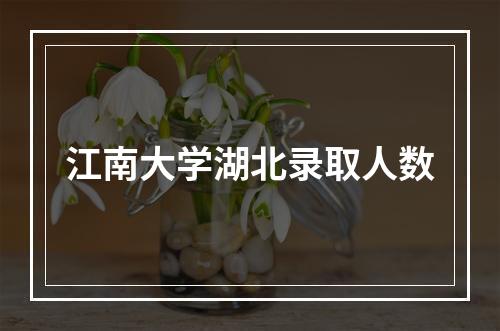 江南大学湖北录取人数