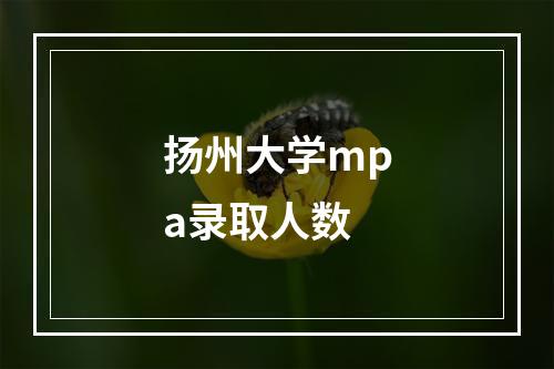 扬州大学mpa录取人数