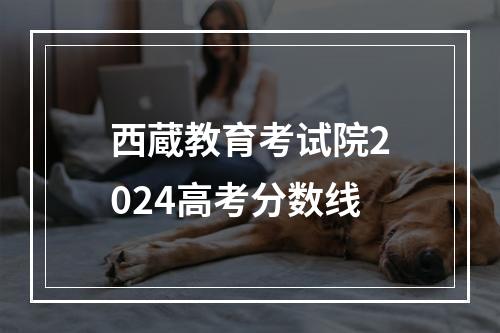 西蔵教育考试院2024高考分数线