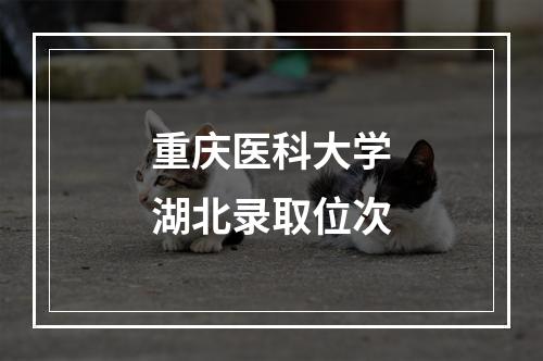 重庆医科大学湖北录取位次