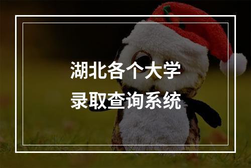 湖北各个大学录取查询系统