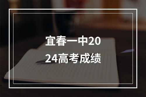 宜春一中2024高考成绩