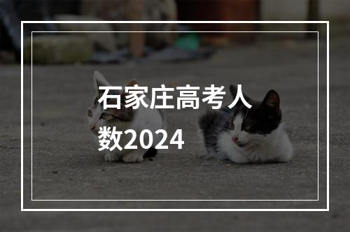 石家庄高考人数2024