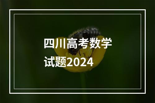 四川高考数学试题2024