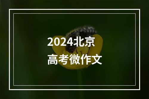 2024北京高考微作文