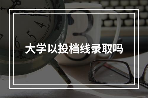 大学以投档线录取吗