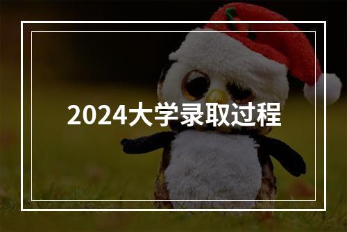 2024大学录取过程