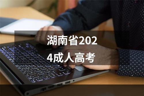 湖南省2024成人高考