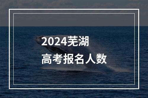 2024芜湖高考报名人数