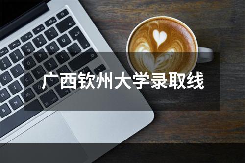 广西钦州大学录取线