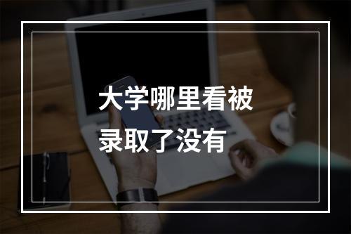 大学哪里看被录取了没有