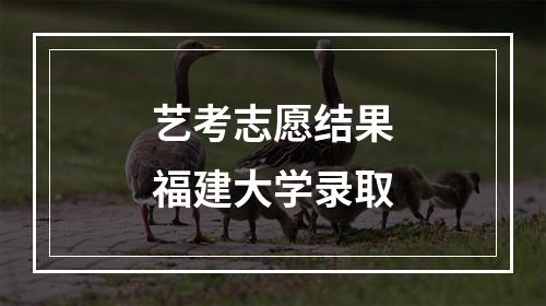 艺考志愿结果福建大学录取