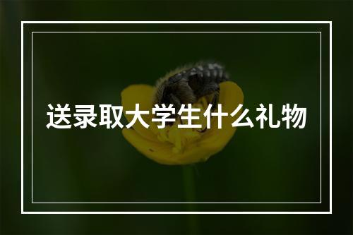 送录取大学生什么礼物