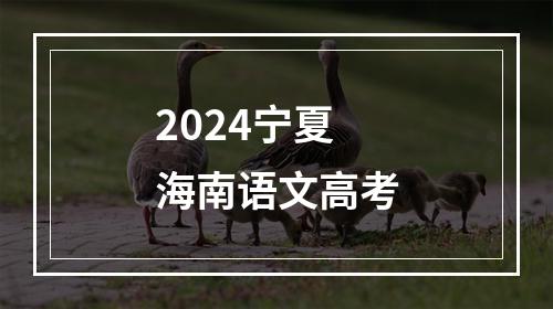 2024宁夏海南语文高考