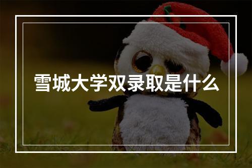 雪城大学双录取是什么