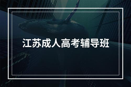 江苏成人高考辅导班