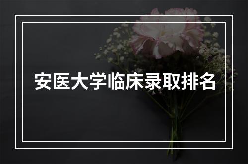 安医大学临床录取排名