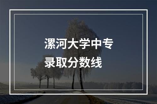 漯河大学中专录取分数线