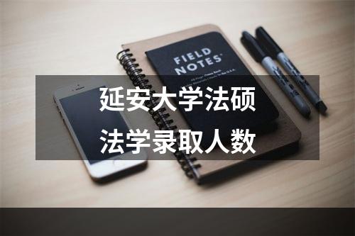 延安大学法硕法学录取人数