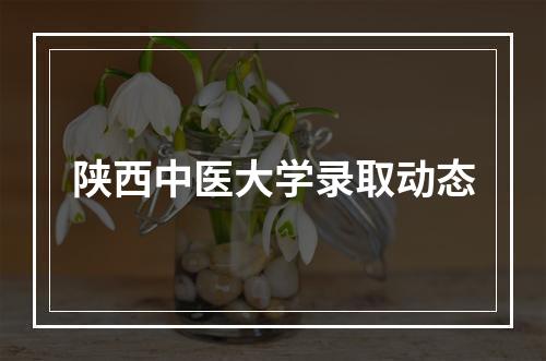 陕西中医大学录取动态