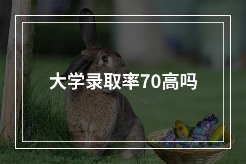 大学录取率70高吗