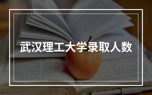 武汉理工大学录取人数