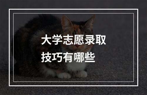 大学志愿录取技巧有哪些