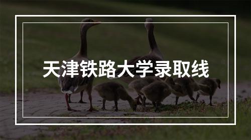 天津铁路大学录取线