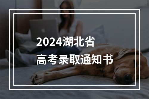 2024湖北省高考录取通知书